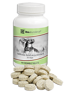 Wellness Supplements for Labrador Retrievers Life's Abundance